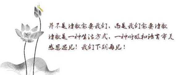 火种公益文学