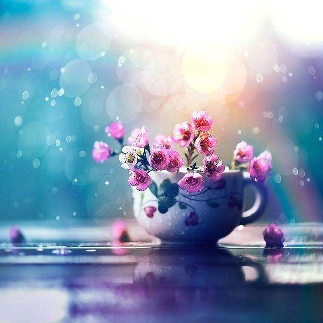 1584450065130558.jpg 4.jpg