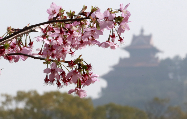 1585206295129702.jpg 1585206295129702.jpg