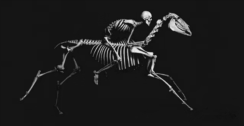 webwxgetmsgimg (2).jpg