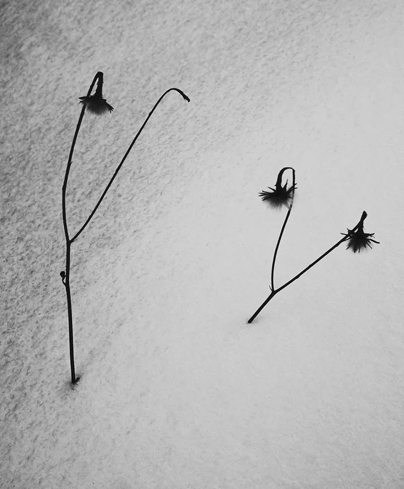 webwxgetmsgimg (1).jpg