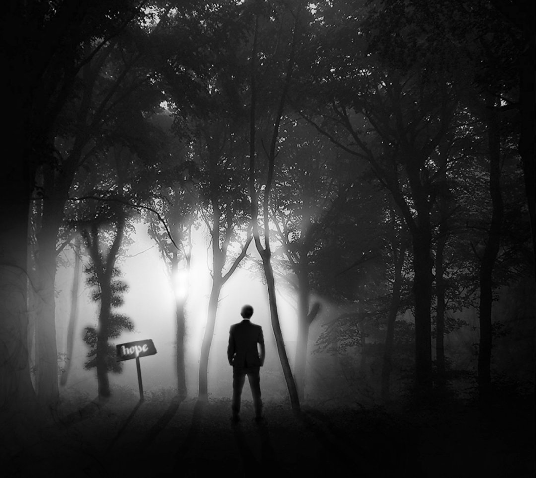 webwxgetmsgimg (3).jpg