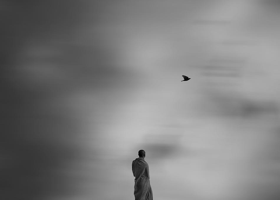 1593275411118238.jpg 1593275411118238.jpg