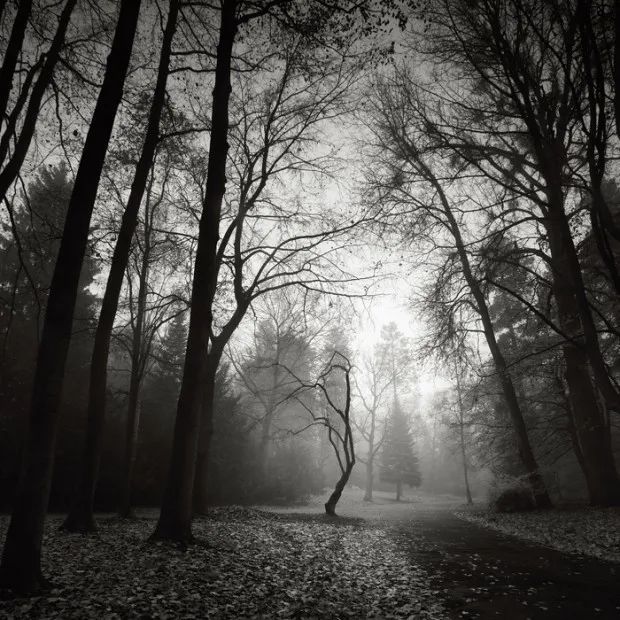 1593994231165672.jpg webwxgetmsgimg (3).jpg