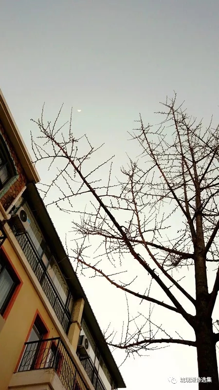 1594615375553560.jpg 001PziVXzy7j1HCsaAqda&690.jpg