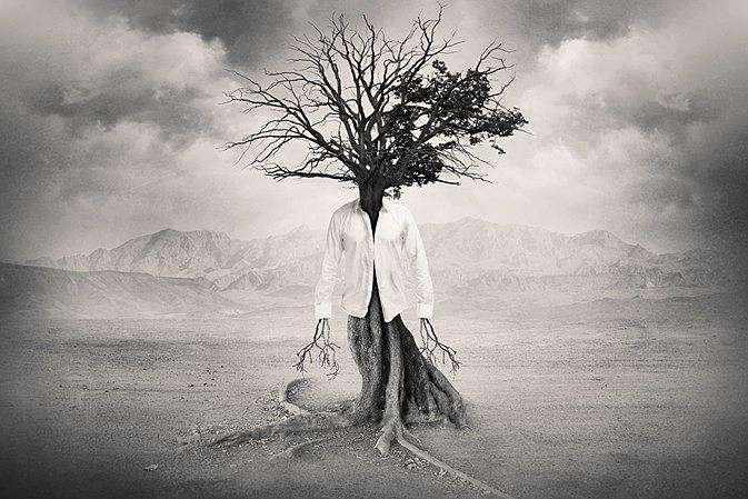 1594615414572968.jpg 1594615414572968.jpg