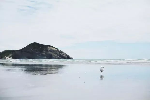 webwxgetmsgimg (6).jpg