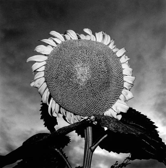 webwxgetmsgimg (9).jpg