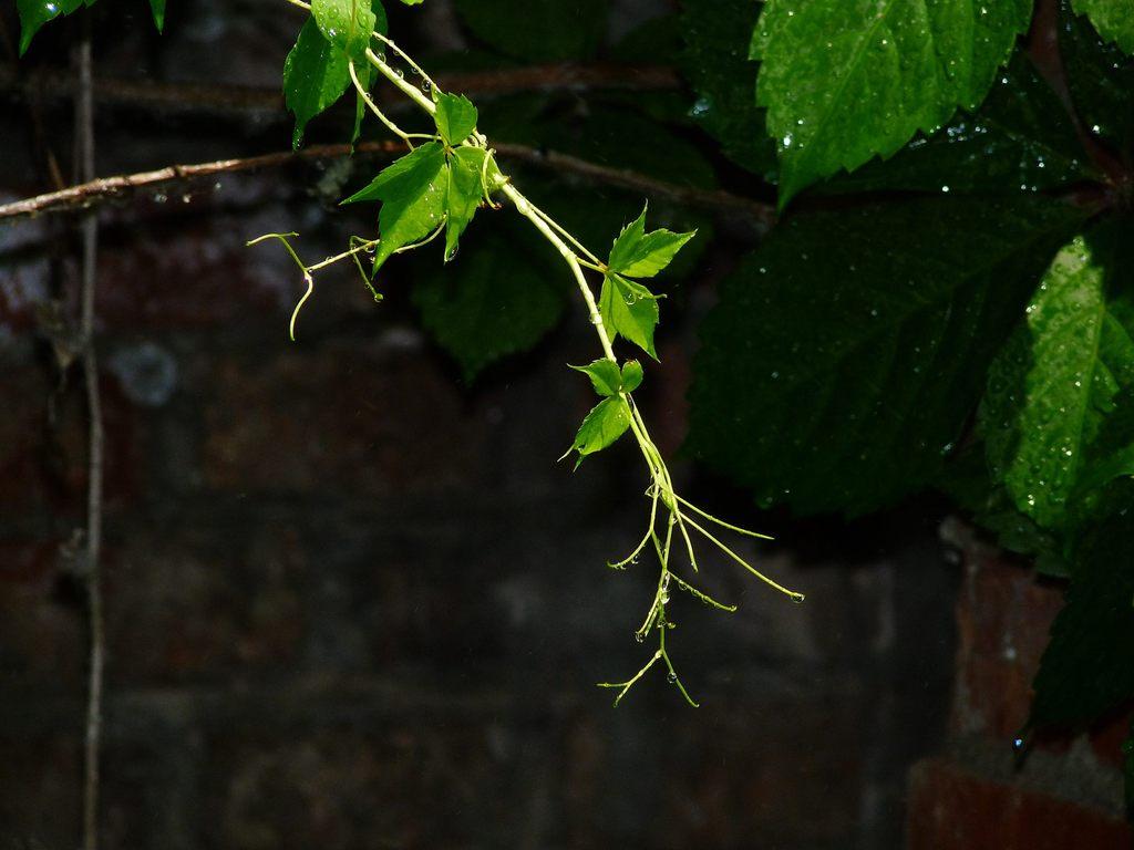 1620701256655632.jpg 3.jpg